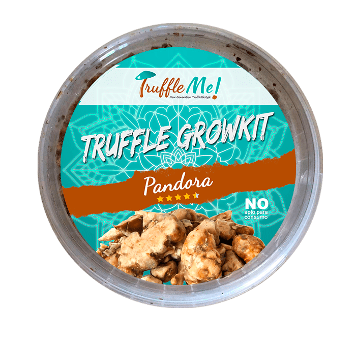 Descubre el Fascinante Mundo de las Trufas Mágicas