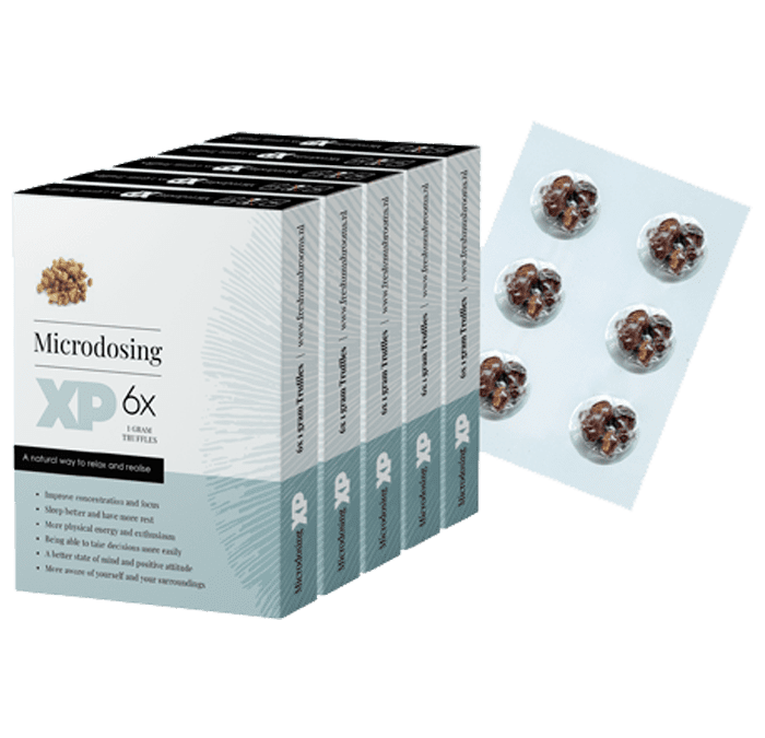 Consumo de Trufas Mágicas: Una Experiencia Placentera