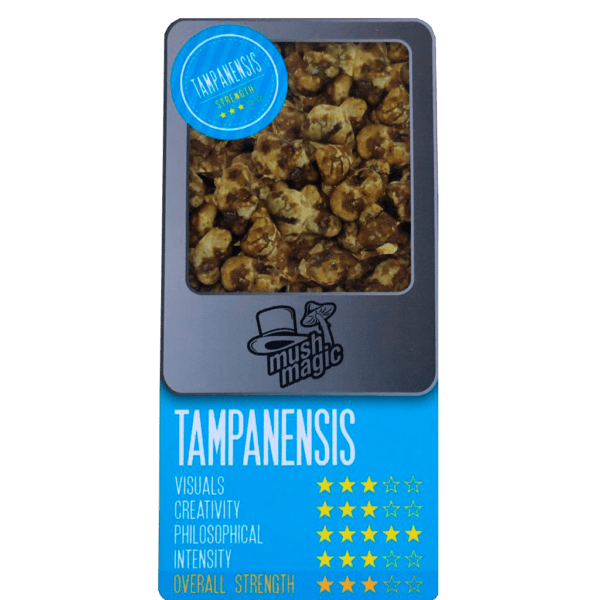 Trufas Mágicas Tampanensis