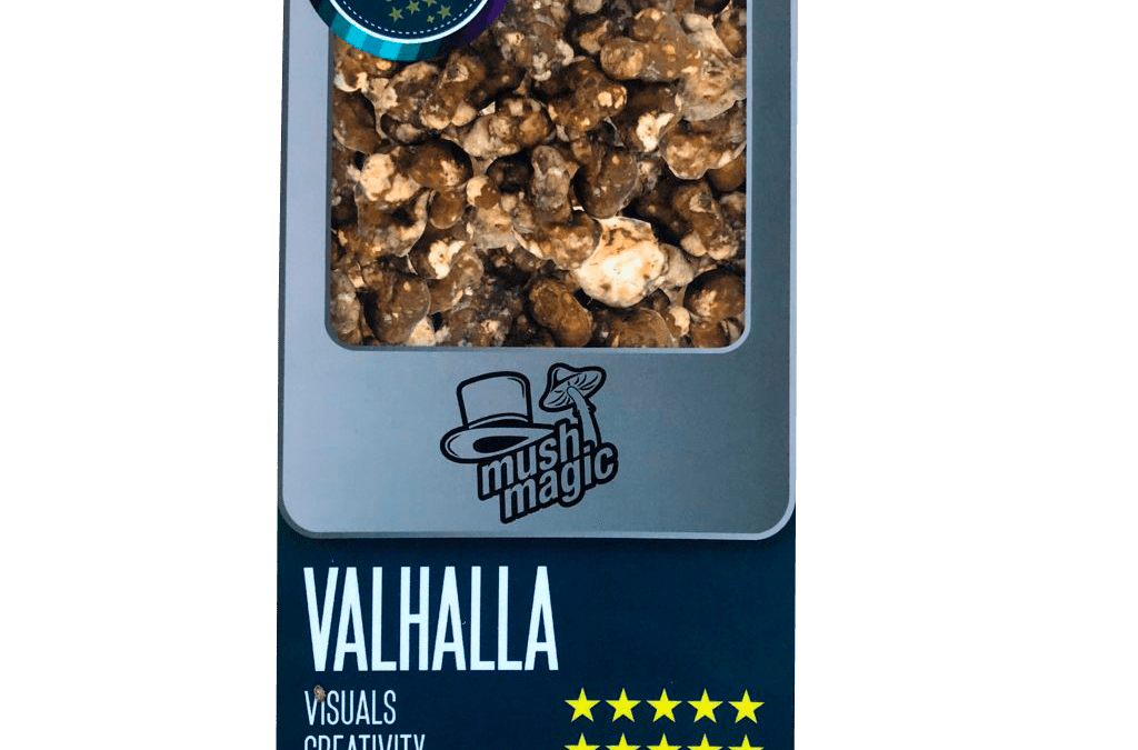 Trufas Mágicas: Todo lo que necesitas saber.