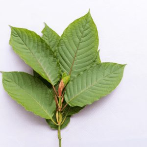 Kratom
