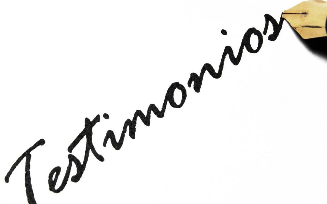 Testimonios con Trufas Mágicas: Experiencias Reales de Usuarios