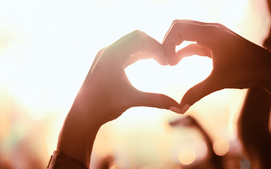 Cómo consumir trufas mágicas o setas alucinógenas en Festivales