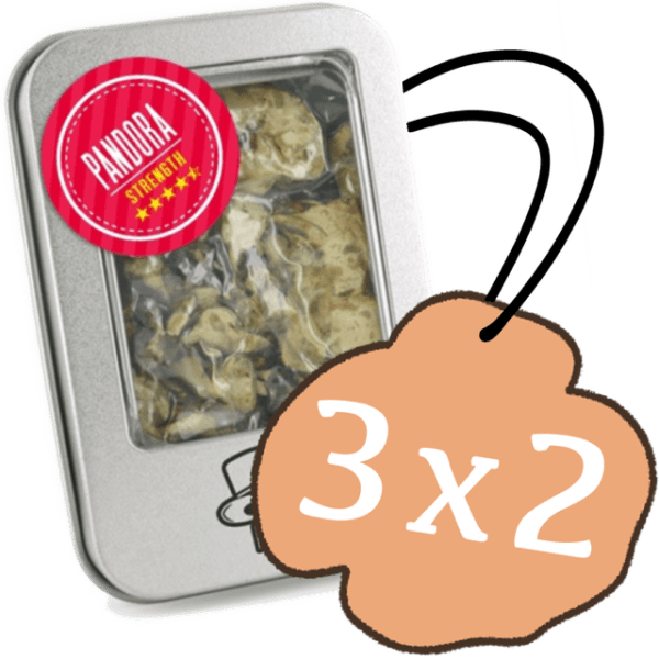 3x2 Trufas Mágicas Pandora
