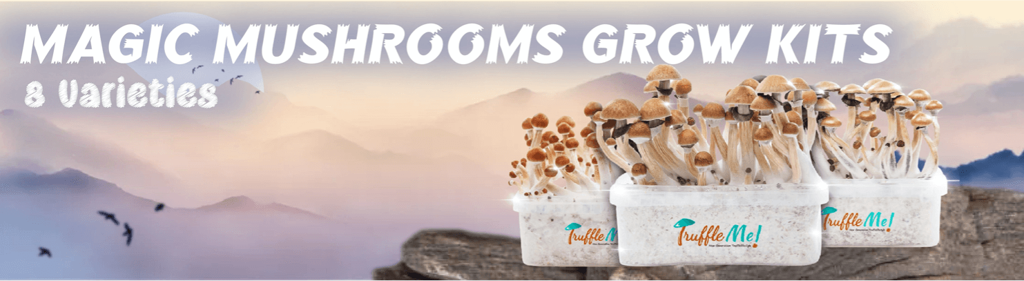 Slider en ingles. Growkits de setas magicas con 9 variedades