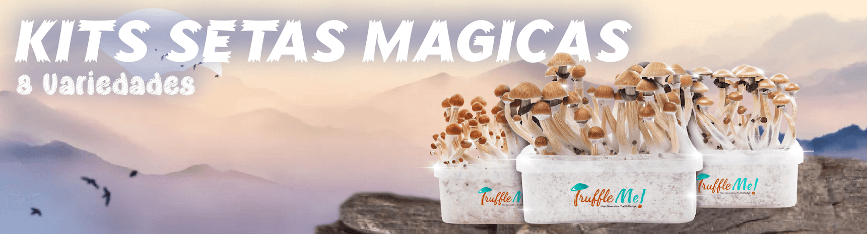 Slider de kits de setas magicas. 8 variedades.