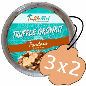 Oferta 3x2 de trufflekits Pandora.