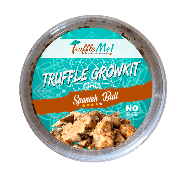 Truffle Growkit Spanish Bull