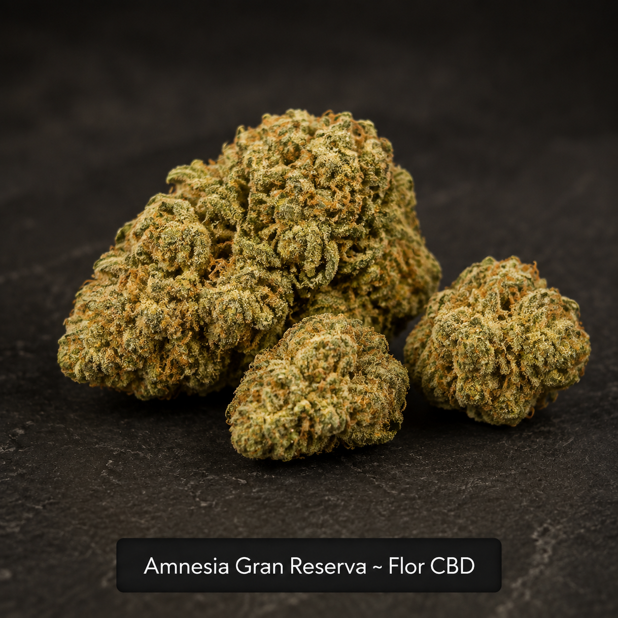 Amnesia